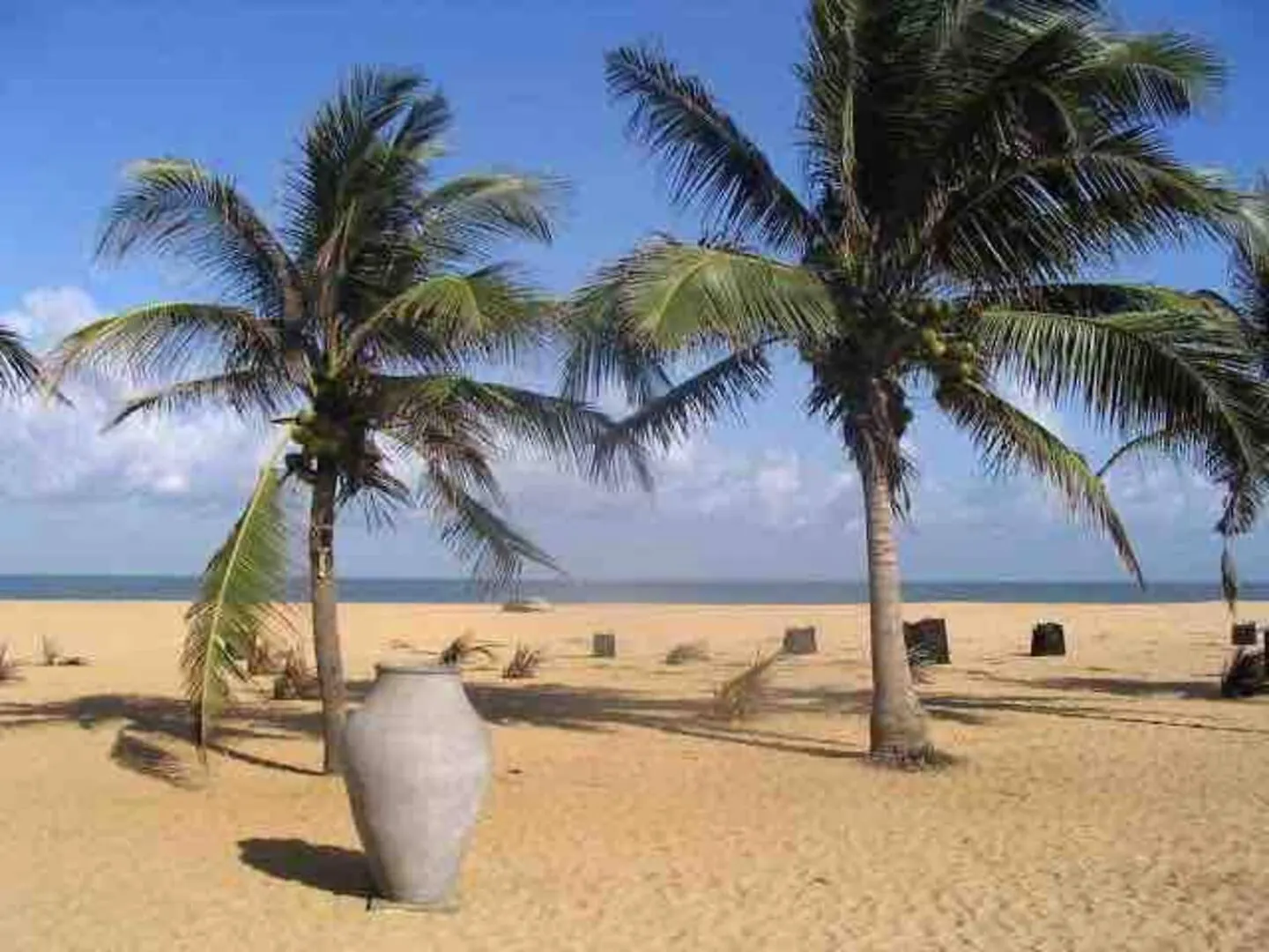 Apartment Near Airport In Negombo Beach 0*,